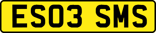 ES03SMS