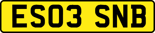 ES03SNB