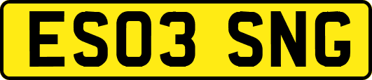 ES03SNG