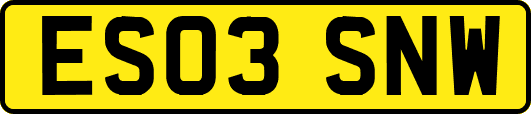 ES03SNW