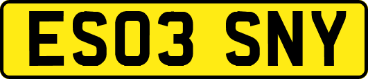 ES03SNY