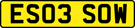 ES03SOW