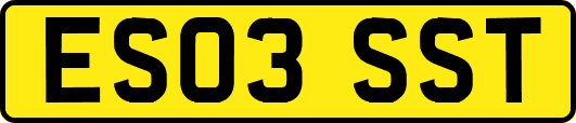 ES03SST