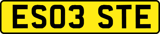 ES03STE