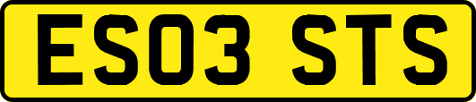 ES03STS