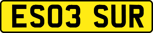 ES03SUR