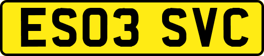 ES03SVC