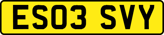 ES03SVY