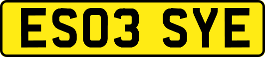 ES03SYE
