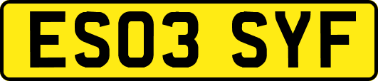 ES03SYF