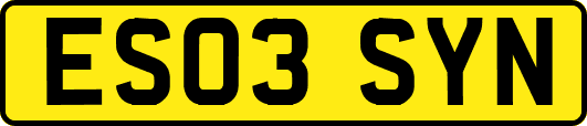 ES03SYN