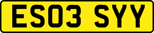 ES03SYY