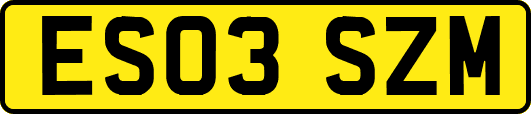 ES03SZM