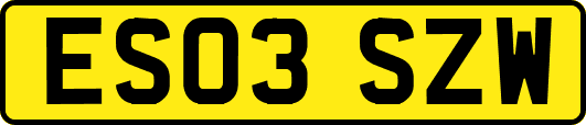 ES03SZW
