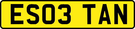 ES03TAN