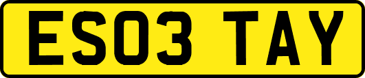 ES03TAY