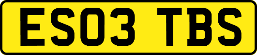 ES03TBS