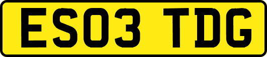 ES03TDG
