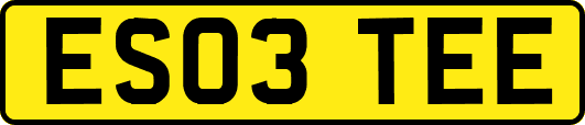 ES03TEE