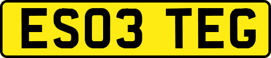 ES03TEG