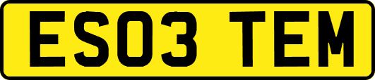 ES03TEM
