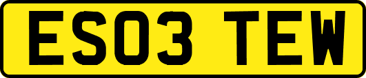 ES03TEW