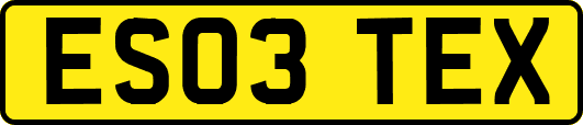 ES03TEX