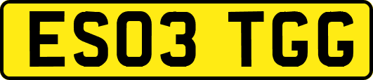 ES03TGG