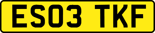 ES03TKF