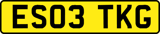 ES03TKG