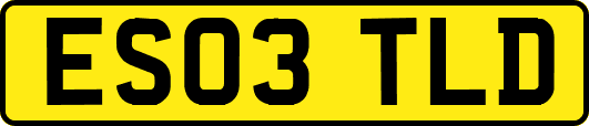 ES03TLD