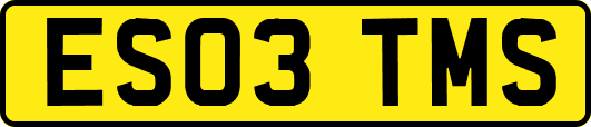 ES03TMS