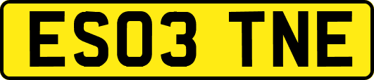 ES03TNE