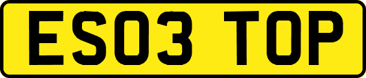 ES03TOP