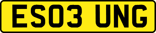 ES03UNG