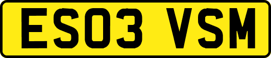 ES03VSM