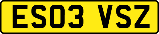 ES03VSZ