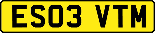 ES03VTM