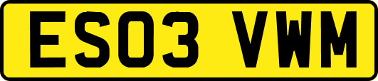 ES03VWM