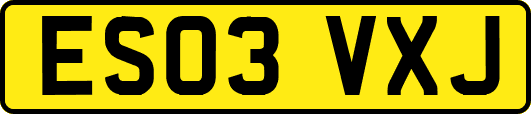 ES03VXJ