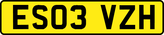ES03VZH