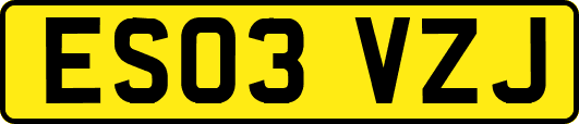 ES03VZJ