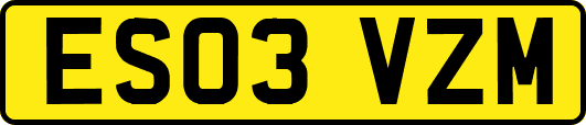 ES03VZM