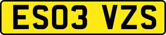 ES03VZS