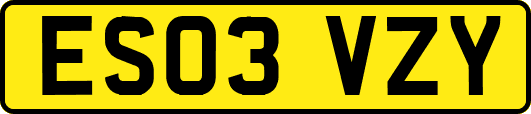 ES03VZY