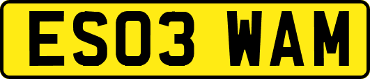 ES03WAM