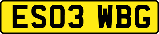 ES03WBG