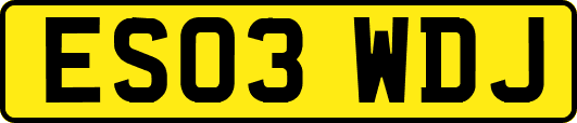 ES03WDJ