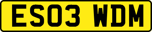 ES03WDM