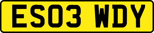 ES03WDY